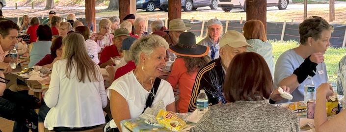 olli picnic