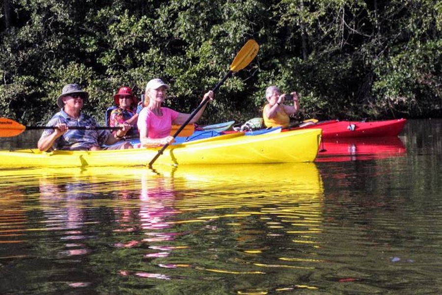 Shared Interest Groups